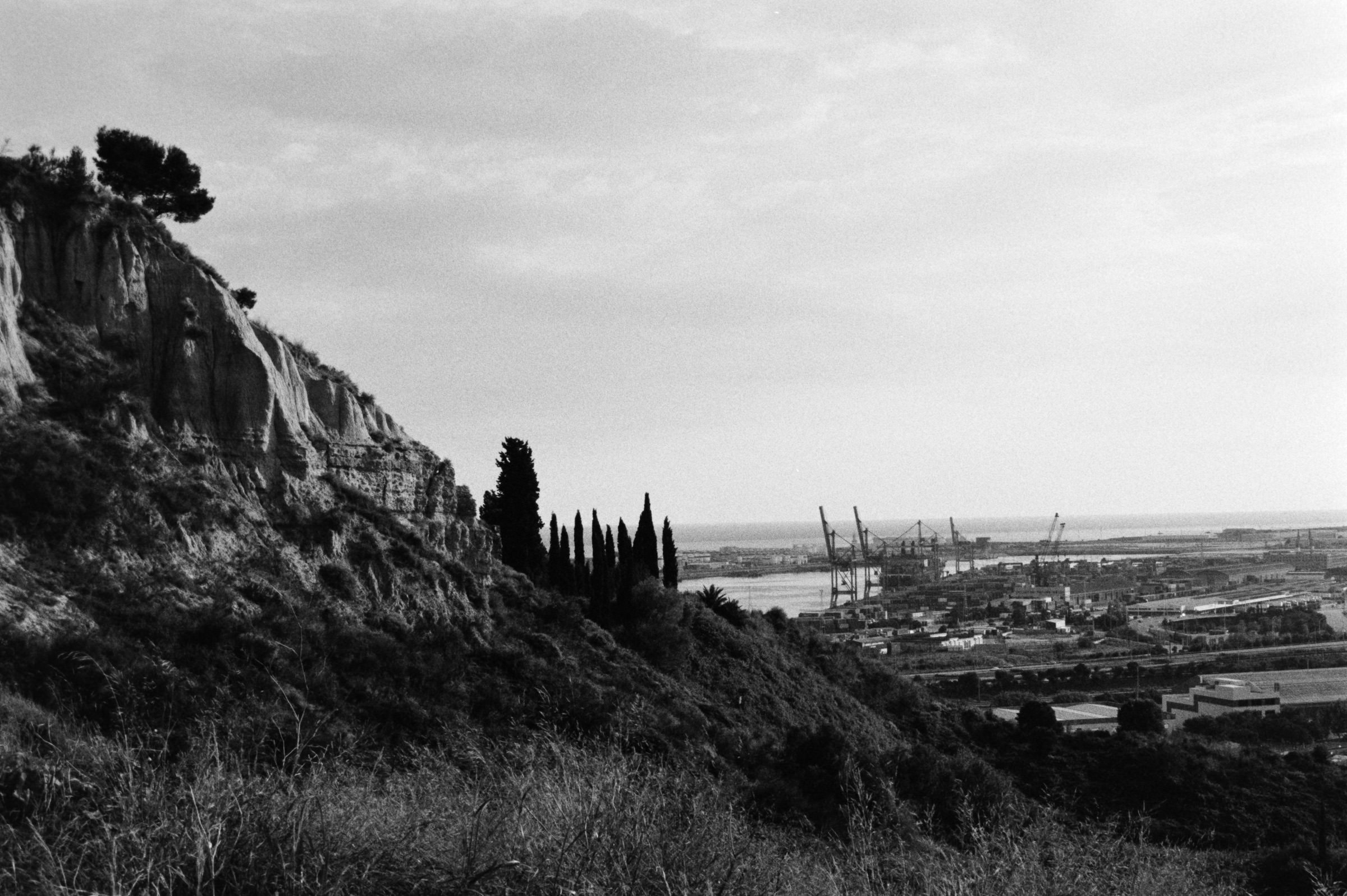 AHP F1995 10 001 sc240815 img36 NLP